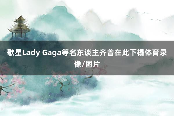 歌星Lady Gaga等名东谈主齐曾在此下榻体育录像/图片