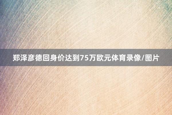 郑泽彦德回身价达到75万欧元体育录像/图片