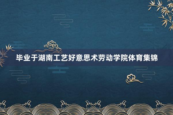 毕业于湖南工艺好意思术劳动学院体育集锦