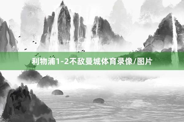 利物浦1-2不敌曼城体育录像/图片
