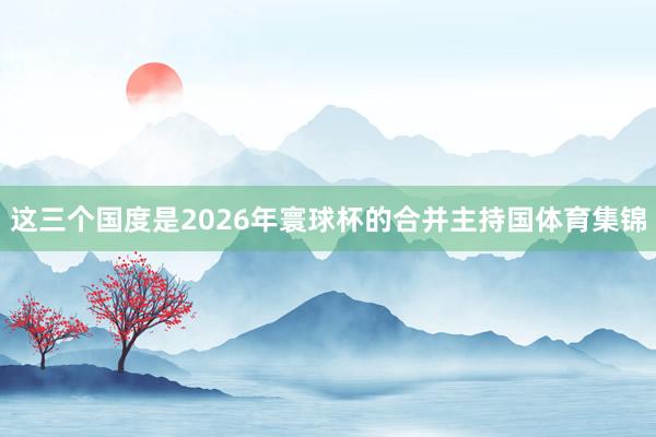 这三个国度是2026年寰球杯的合并主持国体育集锦