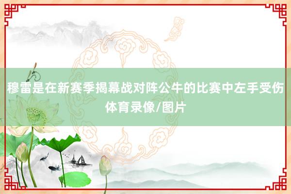 穆雷是在新赛季揭幕战对阵公牛的比赛中左手受伤体育录像/图片