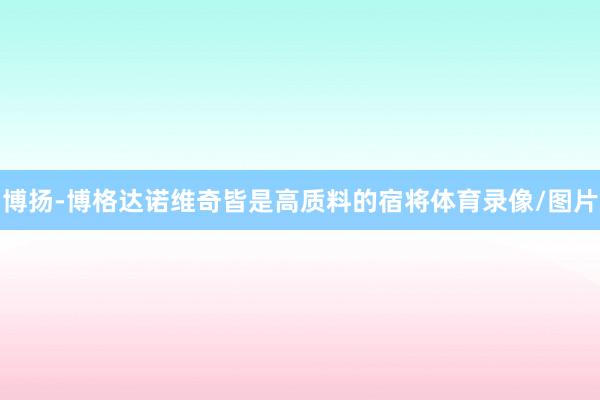 博扬-博格达诺维奇皆是高质料的宿将体育录像/图片