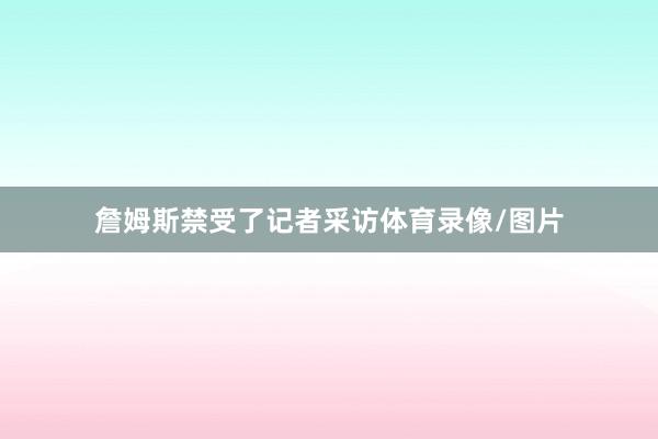詹姆斯禁受了记者采访体育录像/图片