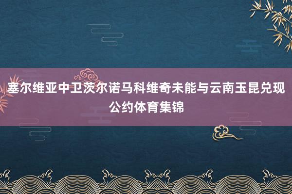 塞尔维亚中卫茨尔诺马科维奇未能与云南玉昆兑现公约体育集锦