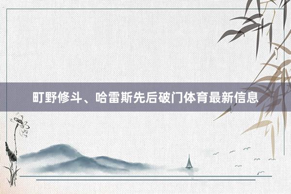 町野修斗、哈雷斯先后破门体育最新信息