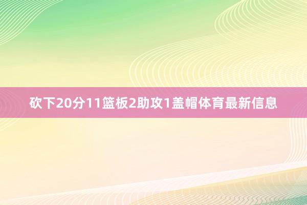 砍下20分11篮板2助攻1盖帽体育最新信息