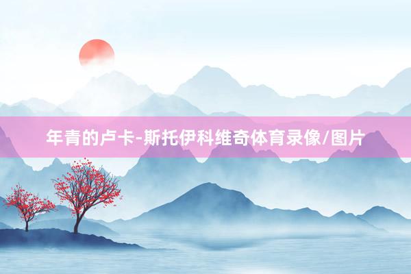 年青的卢卡-斯托伊科维奇体育录像/图片