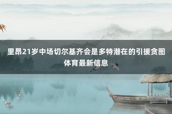 里昂21岁中场切尔基齐会是多特潜在的引援贪图体育最新信息