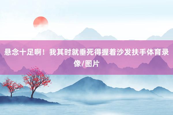 悬念十足啊！我其时就垂死得握着沙发扶手体育录像/图片