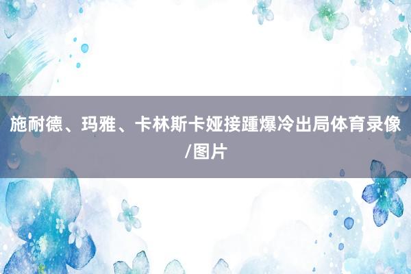 施耐德、玛雅、卡林斯卡娅接踵爆冷出局体育录像/图片