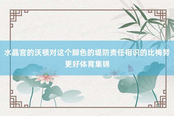 水晶宫的沃顿对这个脚色的堤防责任相识的比梅努更好体育集锦