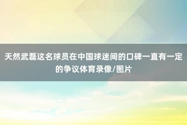 天然武磊这名球员在中国球迷间的口碑一直有一定的争议体育录像/图片