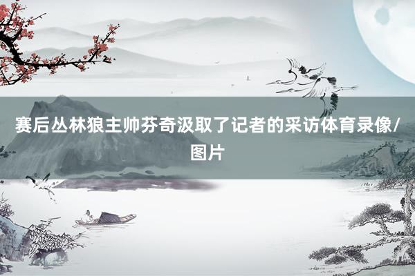赛后丛林狼主帅芬奇汲取了记者的采访体育录像/图片
