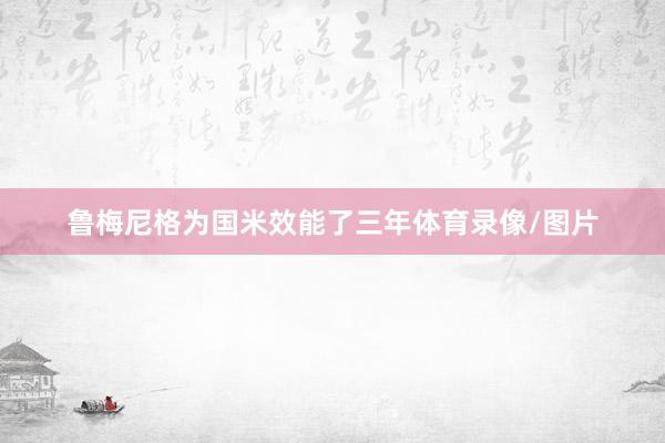 鲁梅尼格为国米效能了三年体育录像/图片