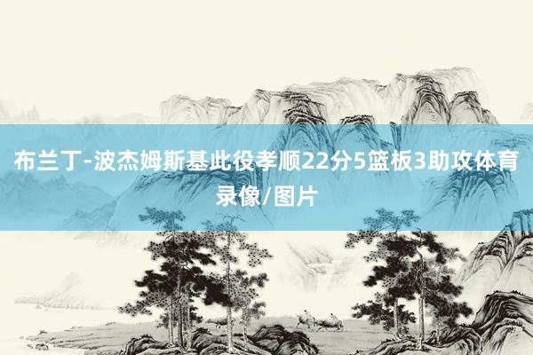 布兰丁-波杰姆斯基此役孝顺22分5篮板3助攻体育录像/图片