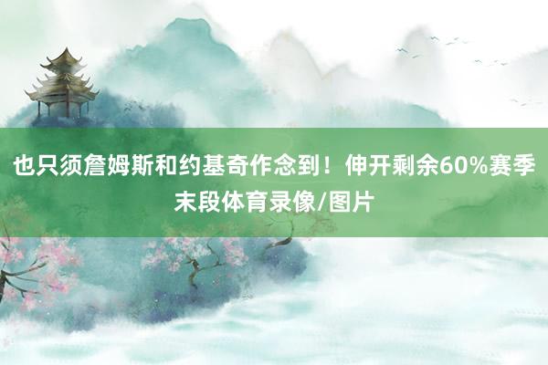 也只须詹姆斯和约基奇作念到！伸开剩余60%赛季末段体育录像/图片