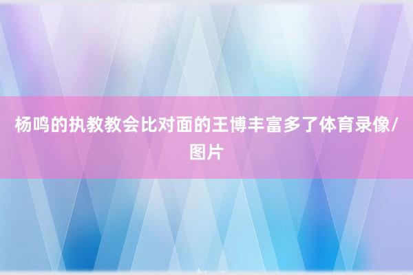 杨鸣的执教教会比对面的王博丰富多了体育录像/图片