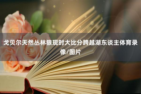 戈贝尔天然丛林狼现时大比分跨越湖东谈主体育录像/图片