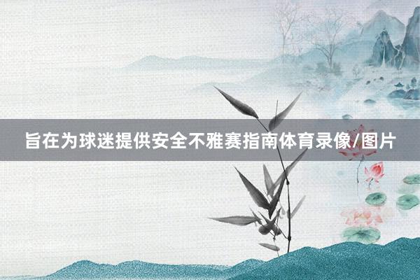旨在为球迷提供安全不雅赛指南体育录像/图片