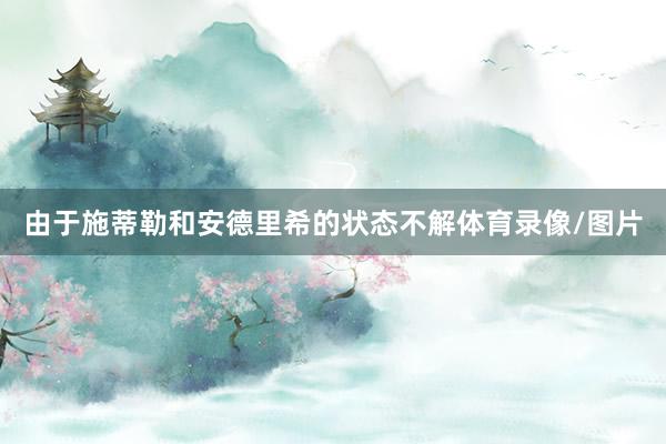 由于施蒂勒和安德里希的状态不解体育录像/图片