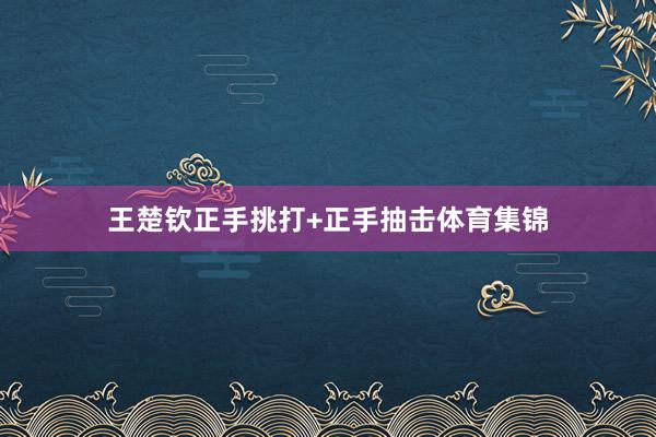 王楚钦正手挑打+正手抽击体育集锦