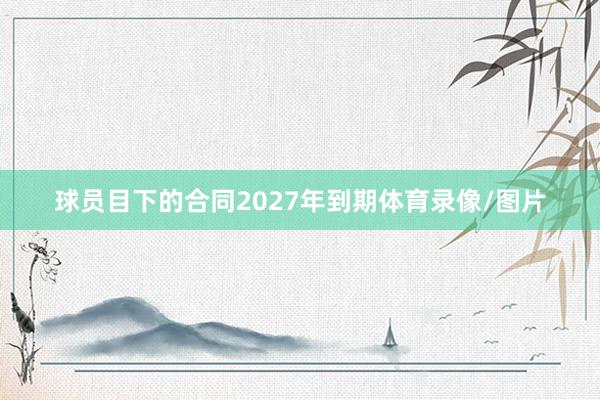 球员目下的合同2027年到期体育录像/图片