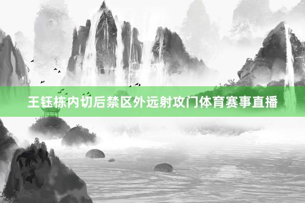 王钰栋内切后禁区外远射攻门体育赛事直播