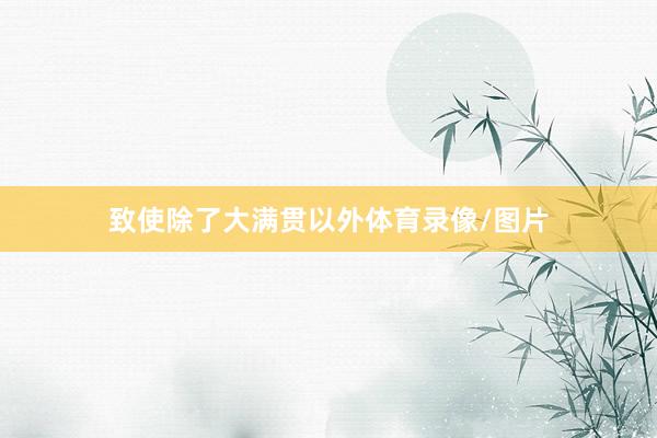 致使除了大满贯以外体育录像/图片