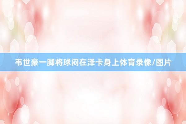 韦世豪一脚将球闷在泽卡身上体育录像/图片