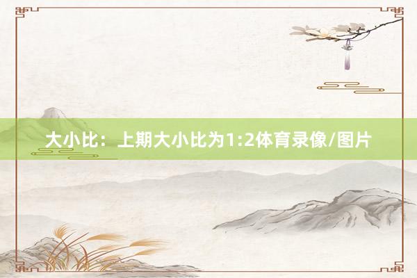 大小比:上期大小比为1:2体育录像/图片