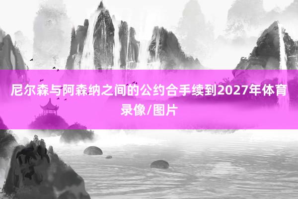 尼尔森与阿森纳之间的公约合手续到2027年体育录像/图片