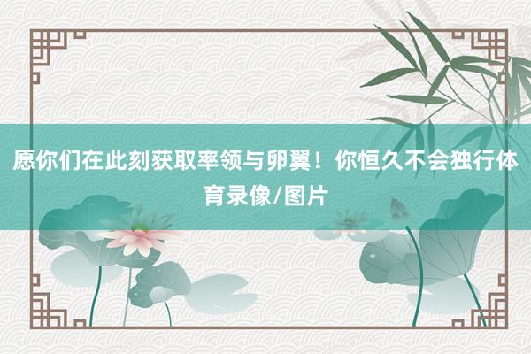 愿你们在此刻获取率领与卵翼！你恒久不会独行体育录像/图片