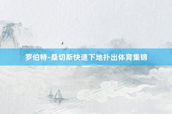 罗伯特-桑切斯快速下地扑出体育集锦