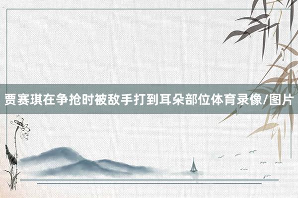 贾赛琪在争抢时被敌手打到耳朵部位体育录像/图片
