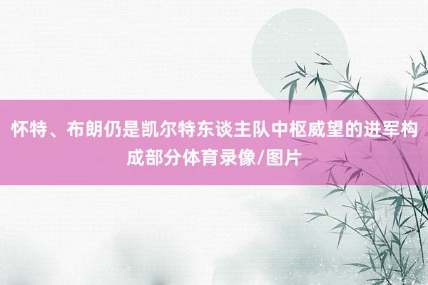 怀特、布朗仍是凯尔特东谈主队中枢威望的进军构成部分体育录像/图片