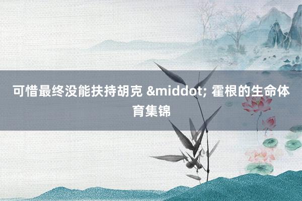 可惜最终没能扶持胡克 · 霍根的生命体育集锦