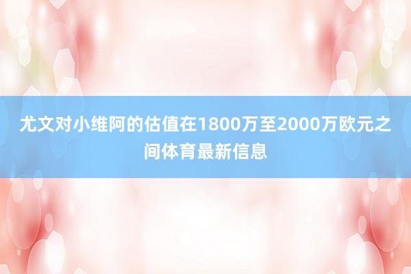 尤文对小维阿的估值在1800万至2000万欧元之间体育最新信息