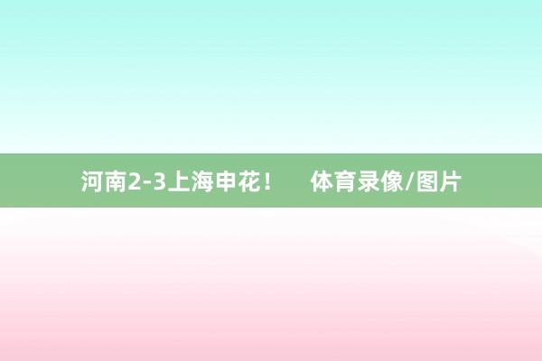 河南2-3上海申花！    体育录像/图片