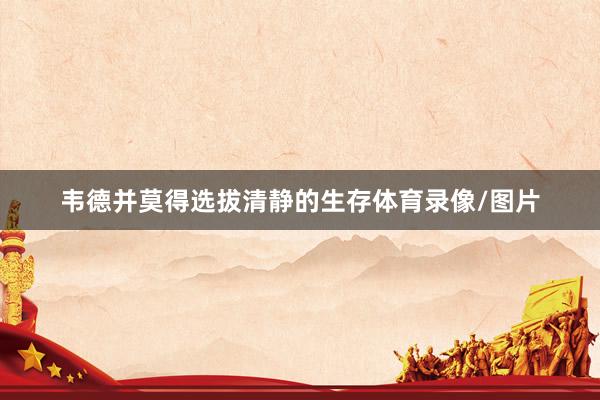 韦德并莫得选拔清静的生存体育录像/图片