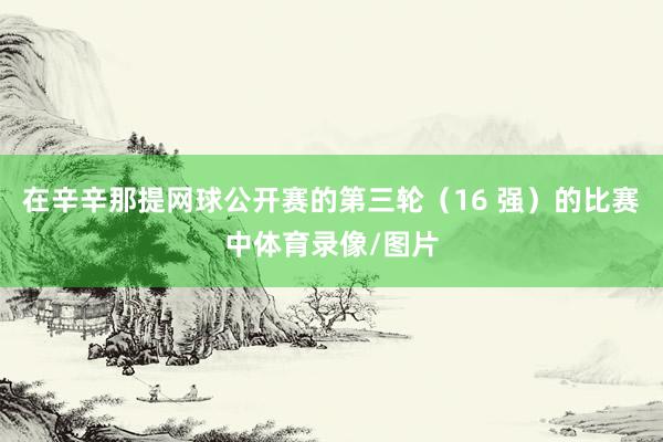 在辛辛那提网球公开赛的第三轮(16 强)的比赛中体育录像/图片