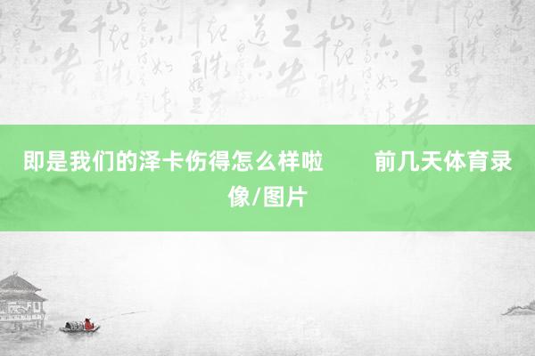 即是我们的泽卡伤得怎么样啦        前几天体育录像/图片