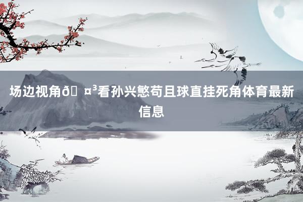 场边视角🤳看孙兴慜苟且球直挂死角体育最新信息