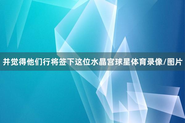 并觉得他们行将签下这位水晶宫球星体育录像/图片