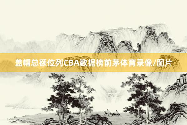 盖帽总额位列CBA数据榜前茅体育录像/图片